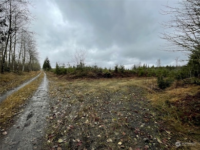 10 xx Oppelt Rd, Onalaska, WA 98570 - photo 3