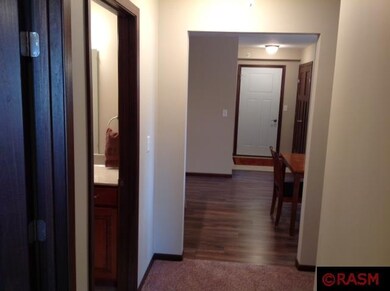 1314 Birchwood Dr, New Ulm, MN 56073 - photo 7