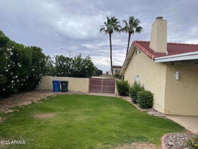 7 backyard west side
