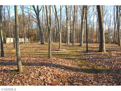 Exterior Back - Back yard behind fenced area.  Gre