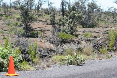 From the upper corner into the lot 23, block 143 is a view of Pahoehoe lava with Ohia Trees.