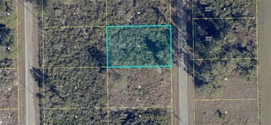 718 Naples Ave S, Lehigh Acres, FL 33974 - photo 2