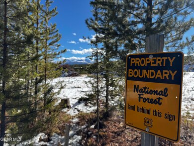 1200 Gcr 5002aka Moose Run Ln, Fraser, CO 80442 - photo 4