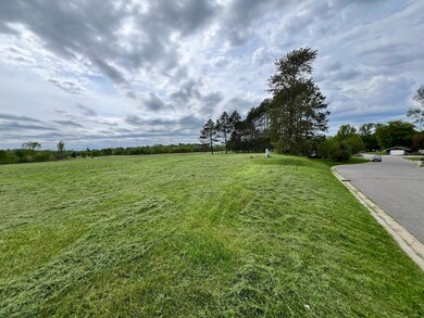 Lot 7 Congdon Ave, Coleraine, MN 55722 - photo 4