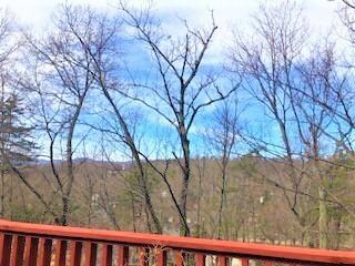 View from Deck