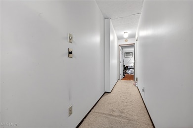 1310 Lindenwood Dr, Lorain, OH 44053 - photo 7