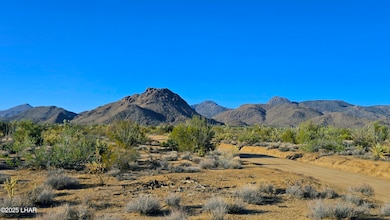 2b S Cattle Crossing Rd, Yucca, AZ 86438 - photo 7