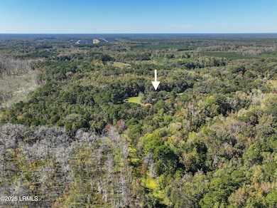 262 Wimbee Landing Rd, Seabrook, SC 29940 - photo 3