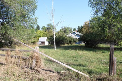 Back Yard from the Alley