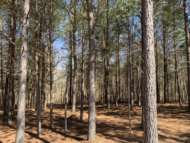 5140 Crockett Point, Jasper, TN 37347 - photo 7