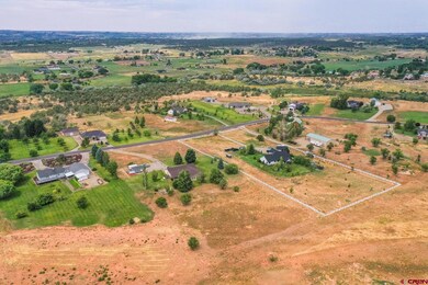 25548 Road North 6 Loop, Cortez, CO 81321 - photo 5