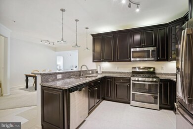 41895 Cathedral Valley Square unit A-303, Aldie, VA 20105 - photo 2