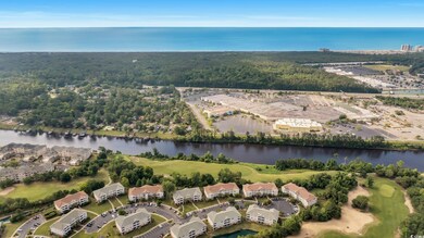 Bird's eye view with a view of trees and a water v
