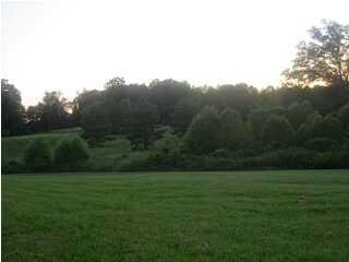 Gently rolling meadows