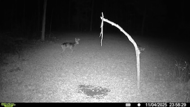 Off Grass Creek Ln, Athens, WI 54411 - photo 7