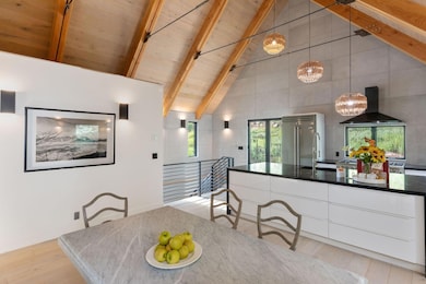 737 W Galena Ave, Telluride, CO 81320 - photo 6