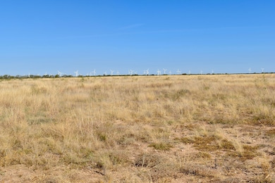 85 Private Road 527, Brady, TX 76825 - photo 4