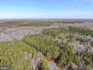 LOT 4 Sand Rd, Snow Hill, MD 21863 - photo 2