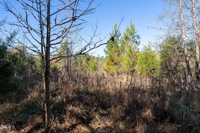 5417 Turner Smith Rd, Browns Summit, NC 27214 - photo 5