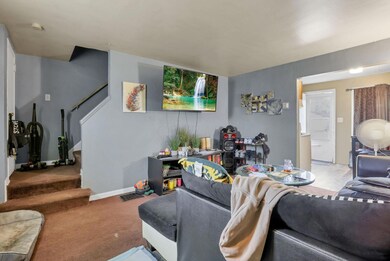 6-web-or-mls-939A7064