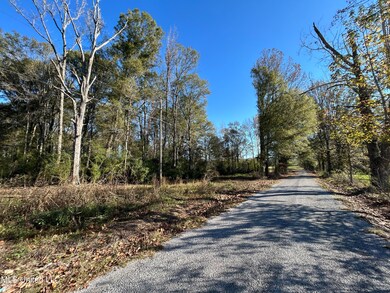 0 Warren Cook Rd, Mendenhall, MS 39114 - photo 5