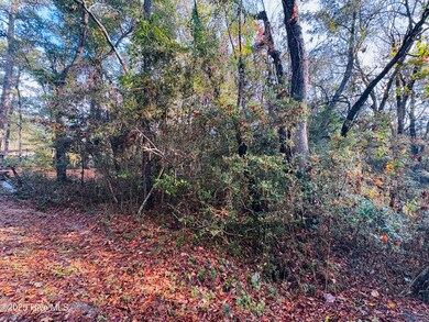 1574 Hollywood St SW, Shallotte, NC 28470 - photo 5