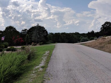 282 Silver Sunset Ln, Kimberling City, MO 65686 - photo 4