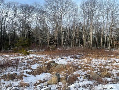 Lot 23 Wooded area
