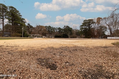 100 Rockfish, Edenton, NC 27932 - photo 2