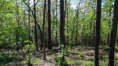 427 Old Rd S, Duncan, SC 29334 - photo 7