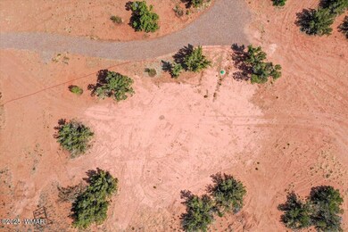 8804 Johnson Hill Trail, Snowflake, AZ 85937 - photo 7