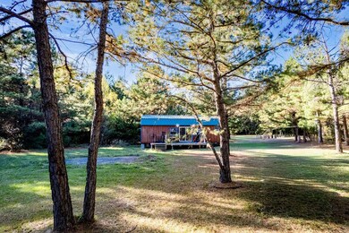 476 An County Road 414, Palestine, TX 75803 - photo 5