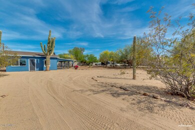 05-Palo Verde