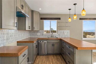 60785 La Brisa Dr, Joshua Tree, CA 92252 - photo 5