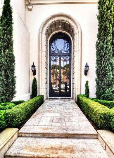 20 ft double entry doors of iron and etched glass