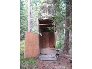 39504 Pinus Crk Loop, Sumpter, OR 97877 - photo 5