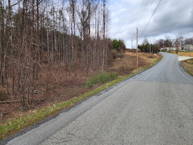 9 and 9A Industry Blvd, Rocky Mount, VA 24151 - photo 5