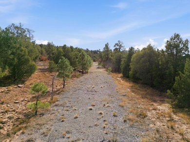 5 Hayner Ct, Tijeras, NM 87059 - photo 2