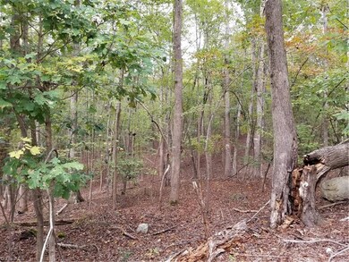 0 Black Mountain Rd unit 954009, Asheboro, NC 27205 - photo 5