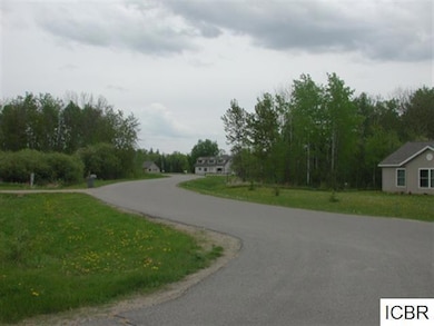 Lt 4 Blk 4 Aspen Dr, Deer River, MN 56636 - photo 6