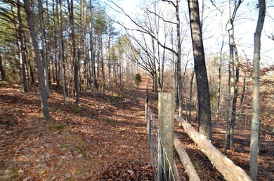 Almost the entire farm is fenced and rea