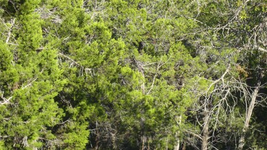 13904 & 13902 Saskatchewan Dr, Austin, TX 78734 - photo 5