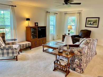 3860 Farm To Market 1801, Mineola, TX 75773 - photo 7