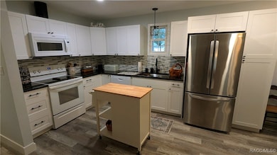 5652 W Nobis Cir, Homosassa, FL 34448 - photo 6