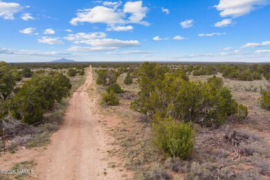 50178020f Wyandotte Rd, Williams, AZ 86046 - photo 7