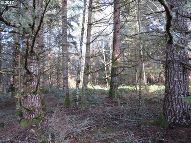 0 Cousins Rd unit 3 17223585, Chehalis, WA 98532 - photo 2