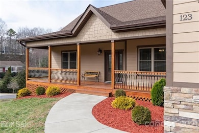 123 S Willow Brook Dr, Asheville, NC 28806 - photo 3