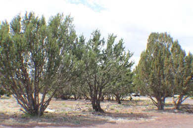 Parcel C Bourdon Ranch Rd, Show Low, AZ 85901 - photo 4