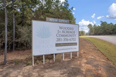 4727 Saguaro Rd, Montgomery, TX 77316 - photo 4