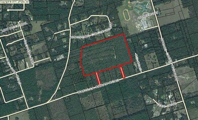 Lot 13 Martin Farms Rd, Crawfordville, FL 32327 - photo 7